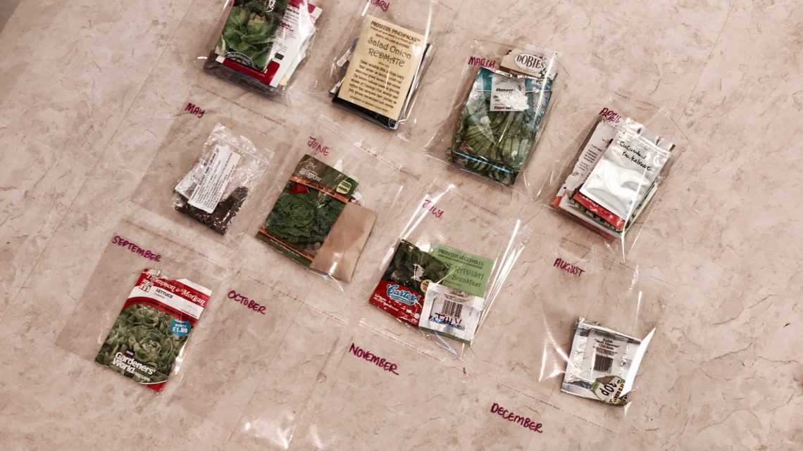 Organising Seeds for the Year Ahead