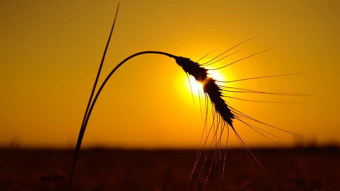 As Summer Draws to a Close