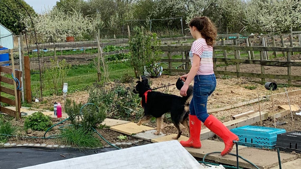April at the Digging the Earth Plot